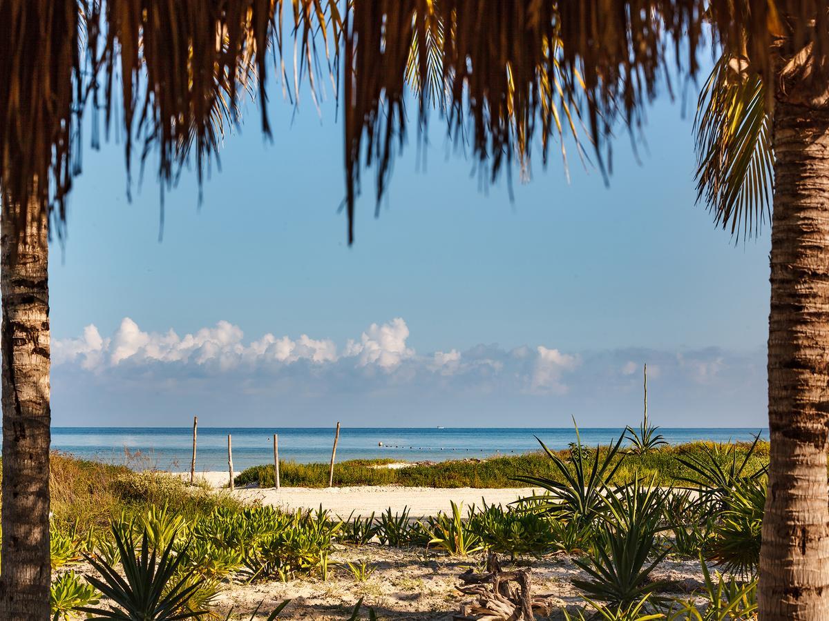 Villas Hm Palapas Del Mar Isla Holbox Kültér fotó